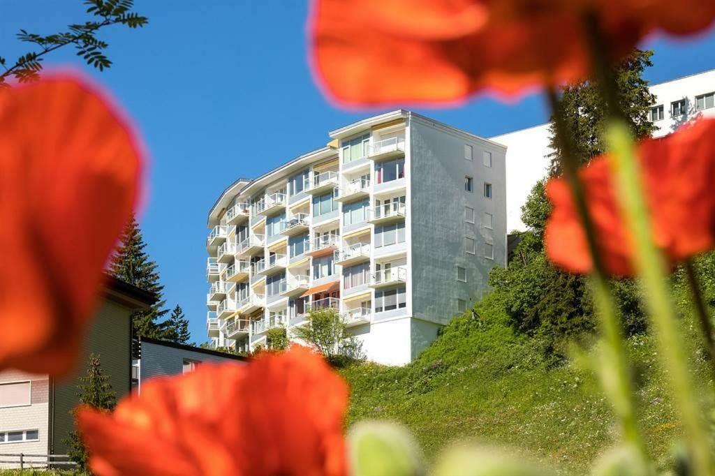 Apartment Casa Viktoria B26